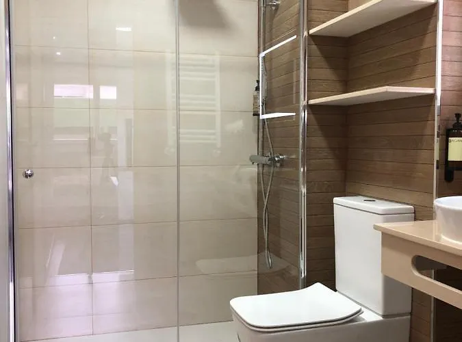 Pizarro Loft By Vigovacaciones * Vigo